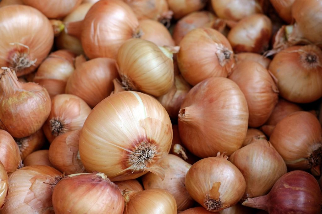 Professioneel gesneden uien klaar voor gebruik in de horeca keuken van Mol Fresh Food